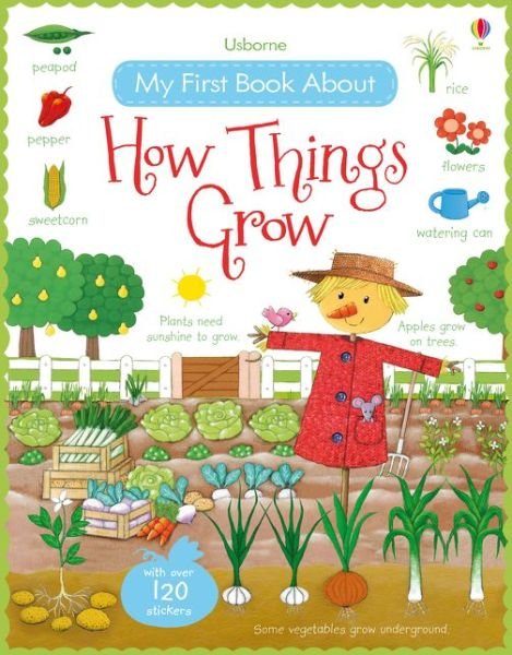My First Book About How Things Grow - All About - Felicity Brooks - Kirjat - Usborne Publishing Ltd - 9781409593584 - lauantai 1. elokuuta 2015