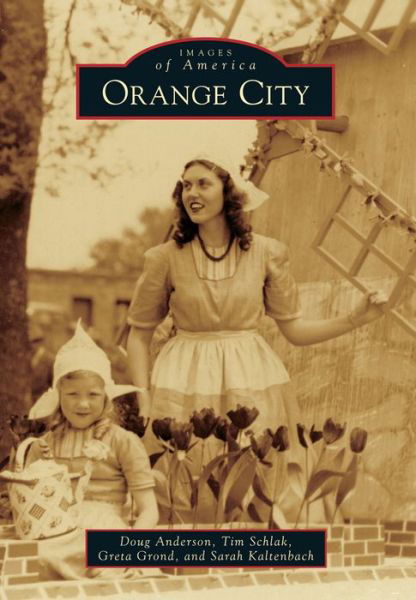 Cover for Doug Anderson · Orange City (Paperback Book) (2014)