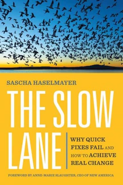 Cover for Sascha Haselmayer · The Slow Lane: Why Quick Fixes Fail and How to Achieve Real Change (Paperback Book) (2023)