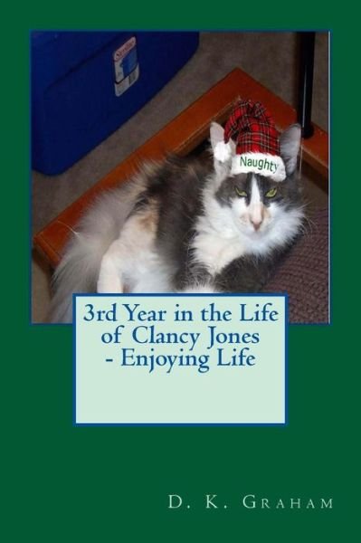 Cover for D K Graham · 3rd Year in the Life of Clancy Jones - Enjoying Life (Paperback Book) (2016)