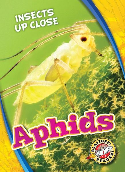 Cover for Patrick Perish · Aphids - Insects Up Close (Gebundenes Buch) (2019)