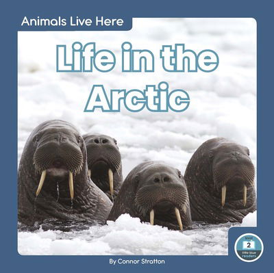 Cover for Connor Stratton · Life in the Arctic - Animals Live Here (Paperback Book) (2020)