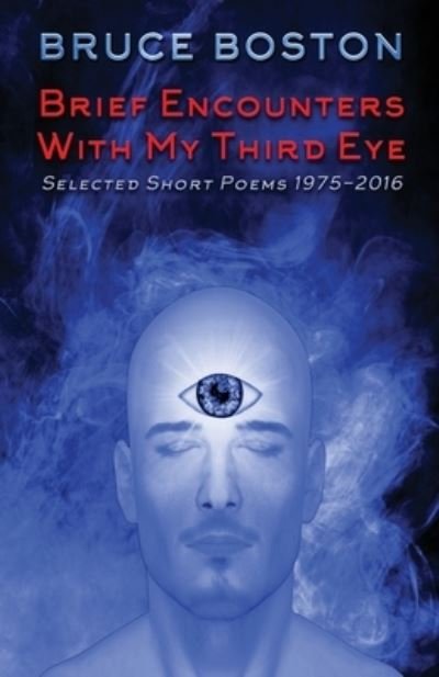 Cover for Bruce Boston · Brief Encounters with My Third Eye (Taschenbuch) (2016)