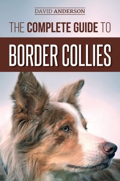 Cover for David Anderson · The Complete Guide to Border Collies: Training, teaching, feeding, raising, and loving your new Border Collie puppy (Pocketbok) (2018)