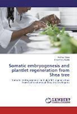 Cover for Gana · Somatic embryogenesis and plantlet (Book)