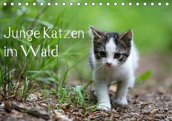 Cover for Oldani · Junge Katzen im Wald (Tischkalen (Book)