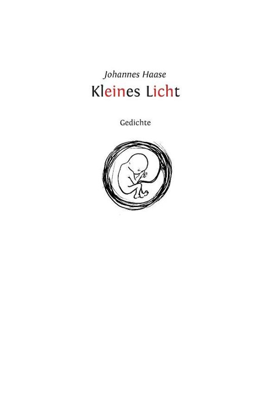 Cover for Haase · Kleines Licht (Book) (2017)