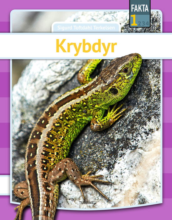 Cover for Sigurd Toftdahl Terkelsen · Fakta 1: Krybdyr (Hardcover Book) [1º edição] (2024)