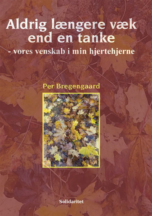 Cover for Per Bregengaard · Aldrig længere væk end en tanke (Paperback Book) [1st edition] (2024)