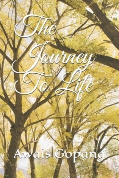 Cover for Awais Gopang · The Journey To Life (Paperback Bog) (2020)