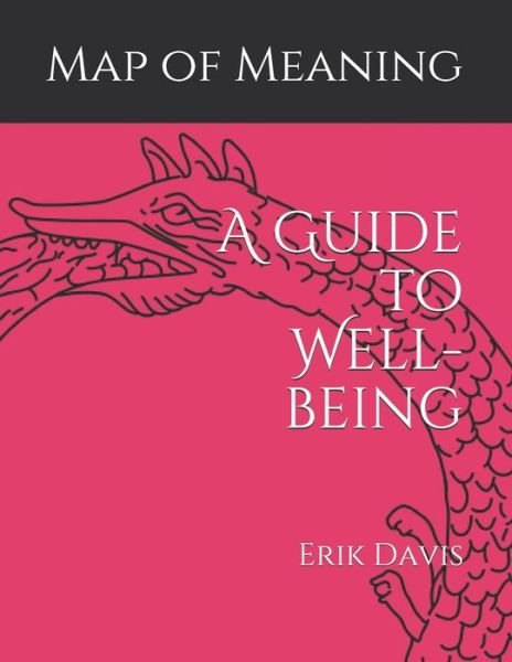 Cover for Erik Davis · Map of Meaning A Guide to Well-being (Paperback Bog) (2019)