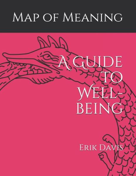 Cover for Erik Davis · Map of Meaning A Guide to Well-being (Paperback Book) (2019)