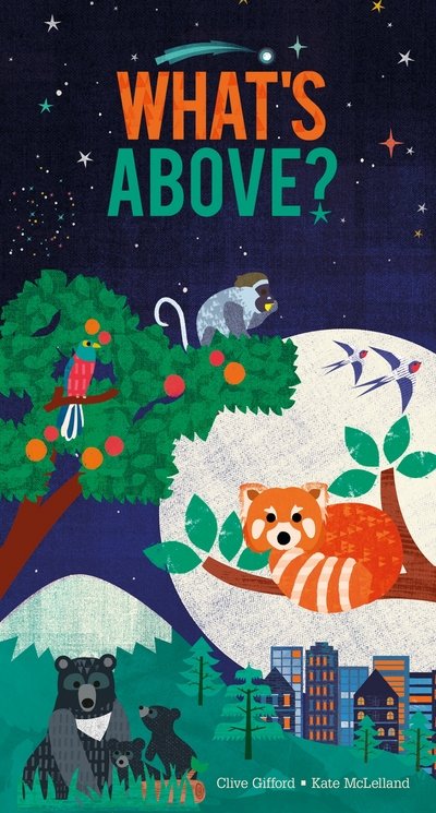 Cover for Clive Gifford · What's Above? (Book) (2017)