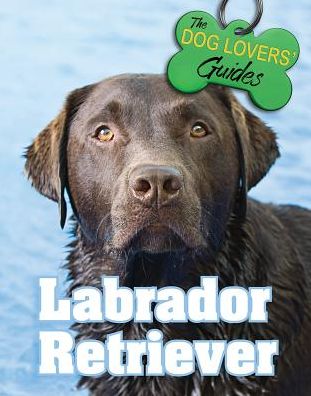 Cover for Ann Britton · Labrador Retriever - Dog Lover's Guides (Hardcover Book) (2017)