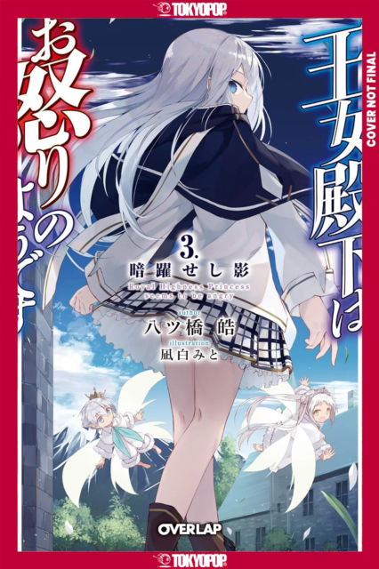 Cover for Kou Yatsuhashi · Her Royal Highness Seems to Be Angry, Volume 3 (Light Novel) (Paperback Book) (2025)