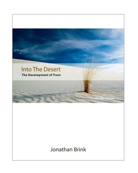 Cover for Jonathan Brink · Into The Desert (Paperback Book) (2010)