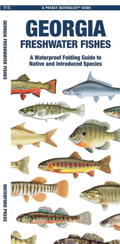 Cover for Waterford Press · Georgia Freshwater Fishes: A Waterproof Folding Guide to Native and Introduced Species - Pocket Naturalist Guide (Pamflet) (2024)