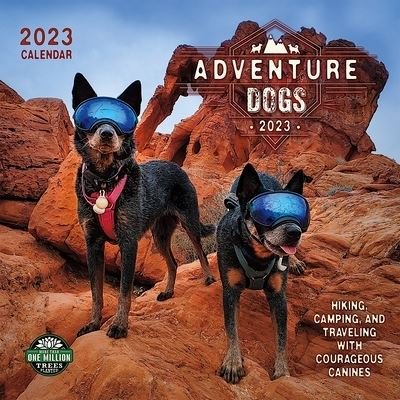 Cover for Amber Lotus Publishing · Adventure Dogs 2023 Wall Calendar - Square (Kalender) (2022)