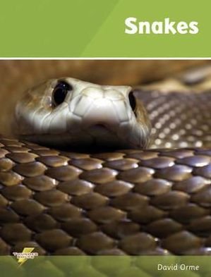 Cover for Orme David · Snakes: Set 1 - Thunderbolts (Paperback Bog) (2019)