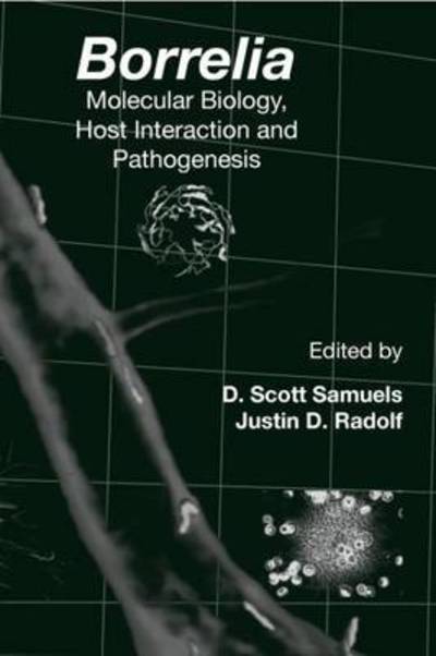 Cover for Borrelia: Molecular Biology, Host Interaction and Pathogenesis (Hardcover Book) (2018)