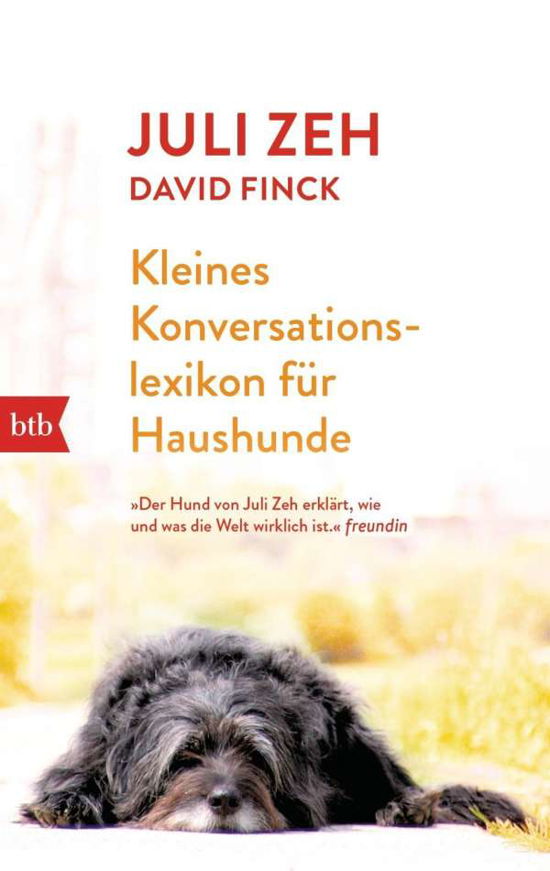 Cover for Zeh, Juli; Finck, David · Btb.71358 Zeh.kl.konversation (Buch)