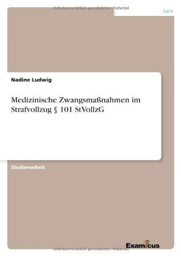 Medizinische Zwangsmaßnahmen im - Ludwig - Książki - GRIN Verlag - 9783656992585 - 20 marca 2012