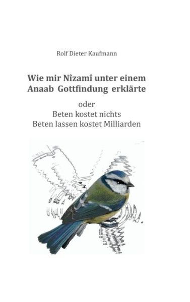 Cover for Kaufmann · Wie mir Nîzamî unter einem Ana (Book) (2017)