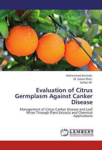 Cover for Safdar Ali · Evaluation of Citrus Germplasm Against Canker Disease: Management of Citrus Canker Disease and Leaf Miner Through Plant Extracts and Chemical Applications (Paperback Book) (2012)