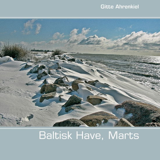 Cover for Gitte Ahrenkiel · Baltisk Have, Marts (Paperback Book) [1. wydanie] [Paperback] (2014)