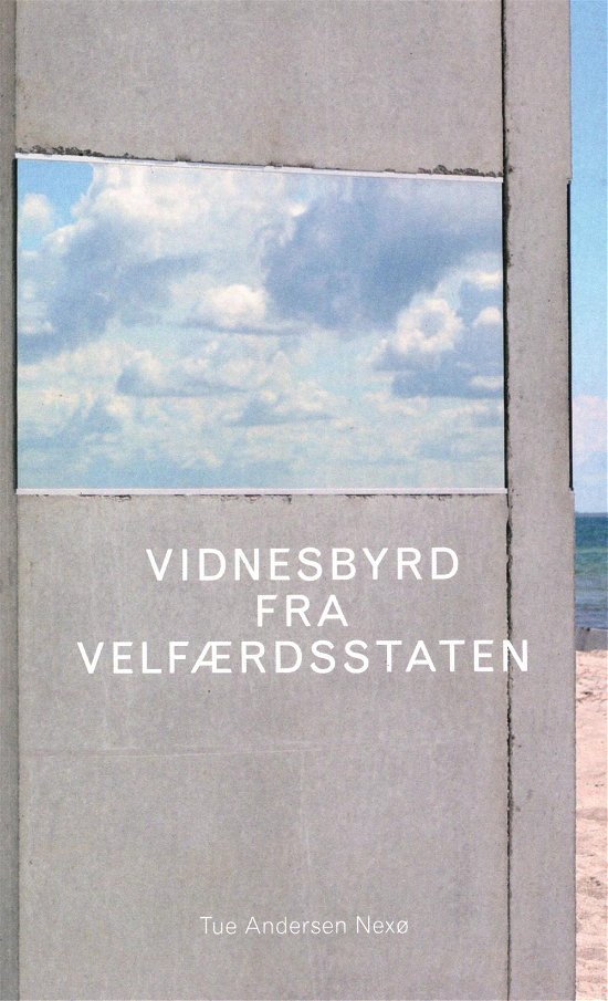 Cover for Tue Andersen Nexø · Arena Monografi: Vidnesbyrd fra velfærdsstaten (Hæftet bog) [1. udgave] (2016)
