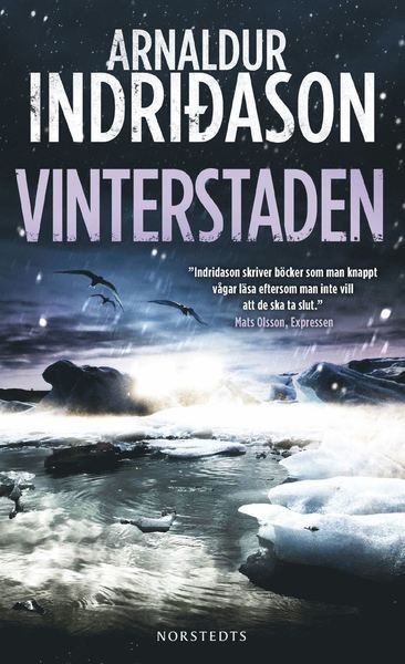 Erlendur Sveinsson: Vinterstaden - Arnaldur Indridason - Books - Norstedts - 9789113079585 - January 23, 2017