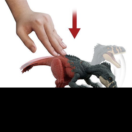 Cover for Mattel · Mattel - Jurassic World Roar Strikers Megaraptor Dino (Spielzeug) (2022)