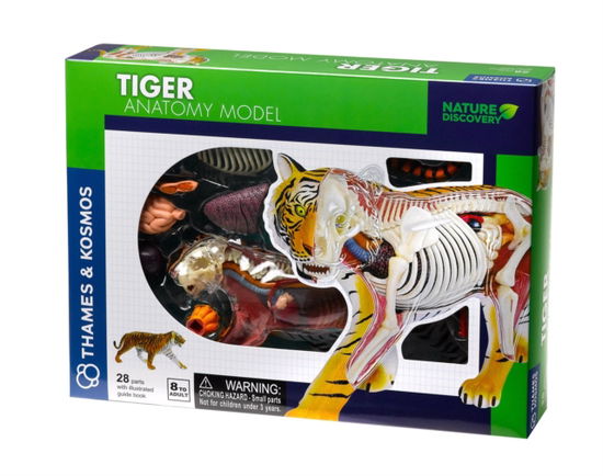 Cover for Tiger (GAME) (2023)