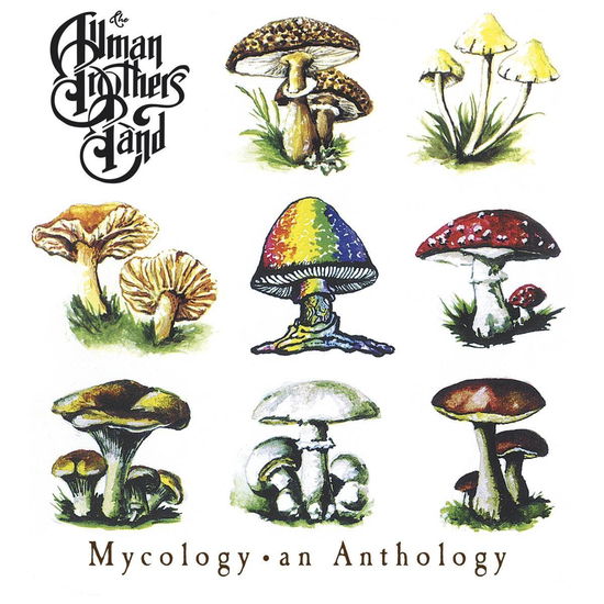 Mycology: An Anthology - Allman Brothers Band - Musiikki - MUSIC ON CD - 8718627231586 - perjantai 28. elokuuta 2020