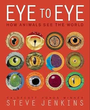 Cover for Steve Jenkins · Eye to Eye / How Animals See the World: How Animals See the World (Pocketbok) (2024)