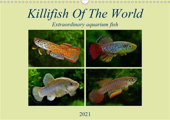 Cover for Pohlmann · Killifish Of The World (Wall C (Bog)