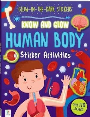 Cover for Hinkler Books Hinkler Books · Know and Glow: Human Body - Know and Glow (Bog) (2018)