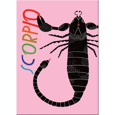 Lisa Congdon for Em & Friends Scorpio Zodiac Magnet - Lisa Congdon - Merchandise - Knock Knock - 9781642446586 - January 7, 2020