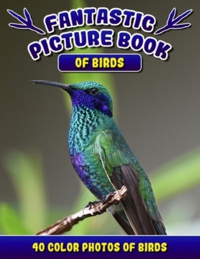 Cover for Rodrick Madison · Fantastic Picture Book of Birds. 40 Color Photos of Birds (Paperback Book) (2019)