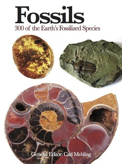 Cover for Carl Mehling · Fossils: 300 of the Earth's Fossilized Species - Mini Encyclopedia (Paperback Book) (2018)