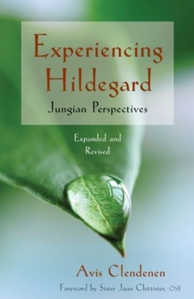 Cover for Avis Clendenen · Experiencing Hildegard (Paperback Book) (2012)