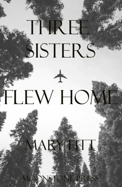 Cover for Mary Fitt · Three Sisters Flew Home (Paperback Book) (2022)