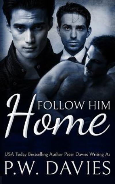 Cover for P W Davies · Follow Him Home (Paperback Book) (2018)