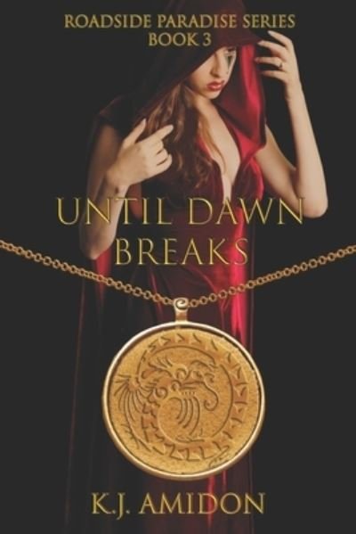 Cover for K J Amidon · Until Dawn Breaks (Paperback Book) (2017)