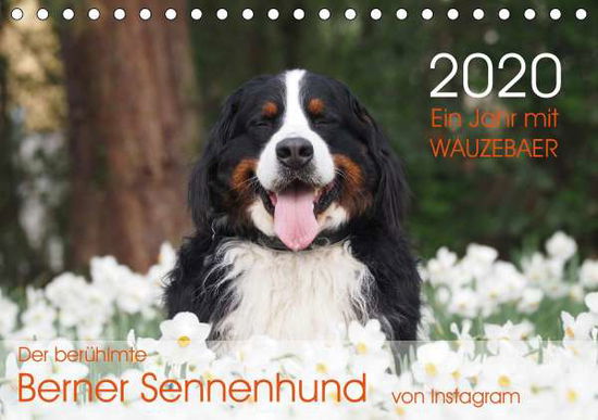 Cover for Brenner · Ein Jahr mit WAUZEBAER - Der be (Book)