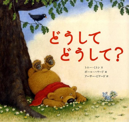 A Very Curious Bear - Tony Mitton - Books - Shogakukan/Tsai Fong Books - 9784097263586 - August 10, 2009