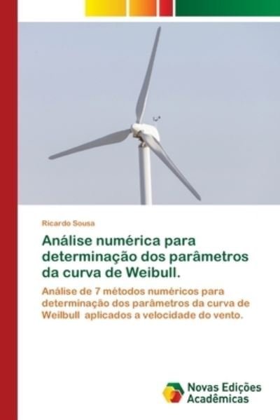 Cover for Sousa · Análise numérica para determinaçã (N/A) (2021)