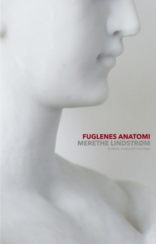 Cover for Merethe Lindstrøm · Fuglenes anatomi (Inbunden Bok) (2019)