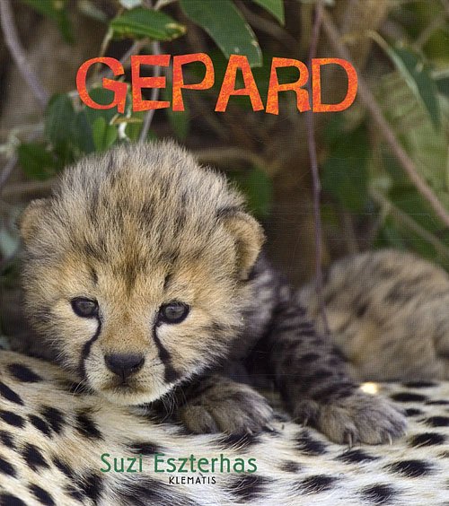 Cover for Suzi Eszterhas · Se på vilde dyr: Gepard (Gebundenes Buch) [1. Ausgabe] [INDBUNDET] (2011)