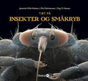 Cover for Dag O. Hessen og Ole Mathismoen Jannicke Wiik-Nielsen · Tæt på insekter og småkryb (Hardcover Book) [1.º edición] (2021)